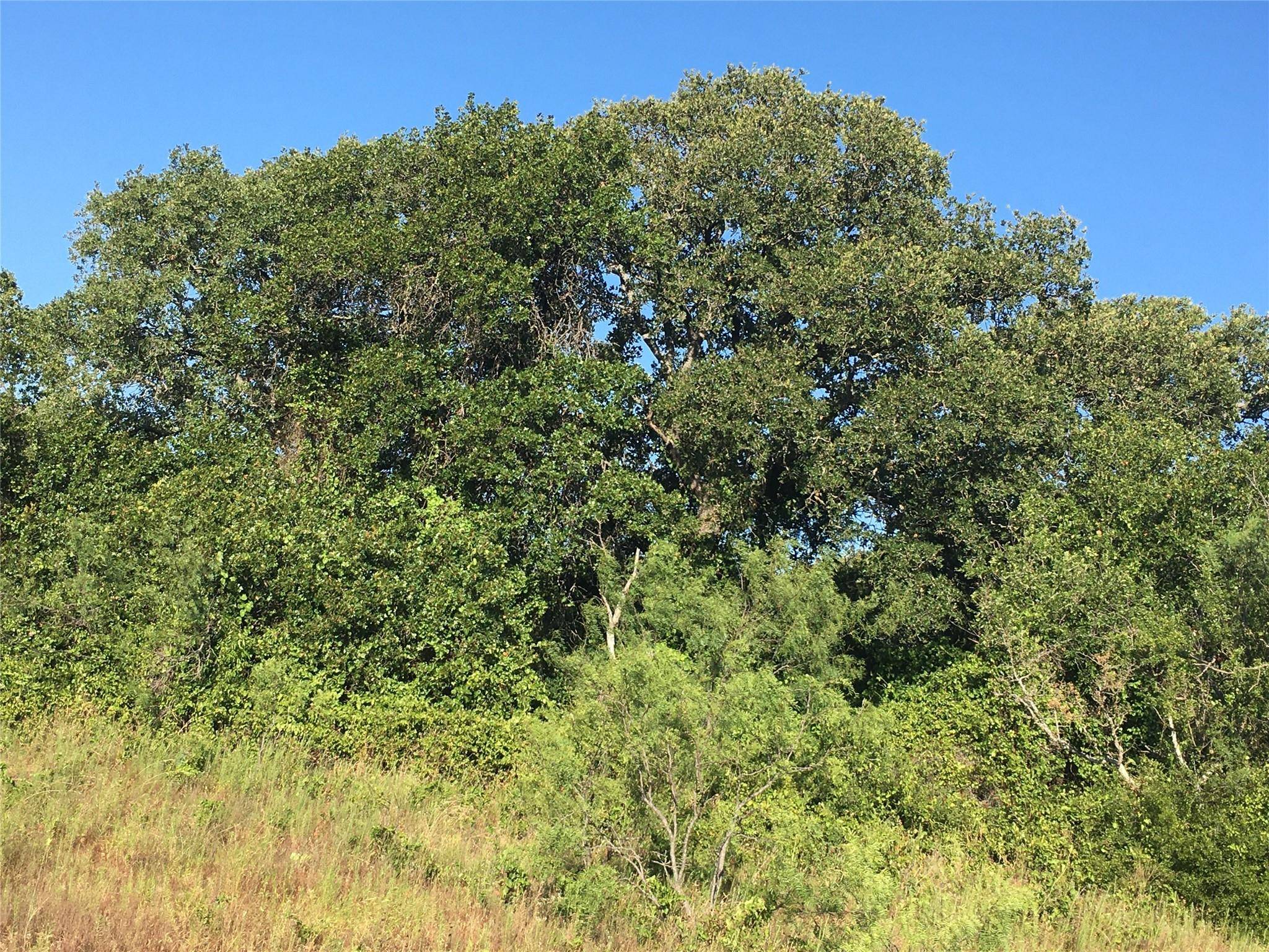 May, TX 76857,FM 1689 and CR 135 County Road 135 Cm