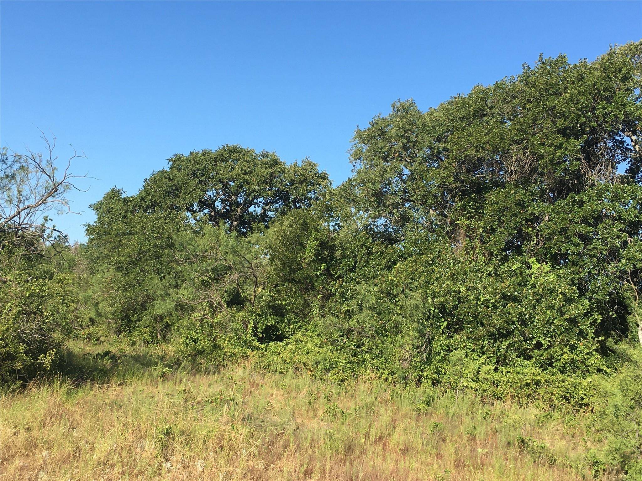 May, TX 76857,FM 1689 and CR 135 County Road 135 Cm