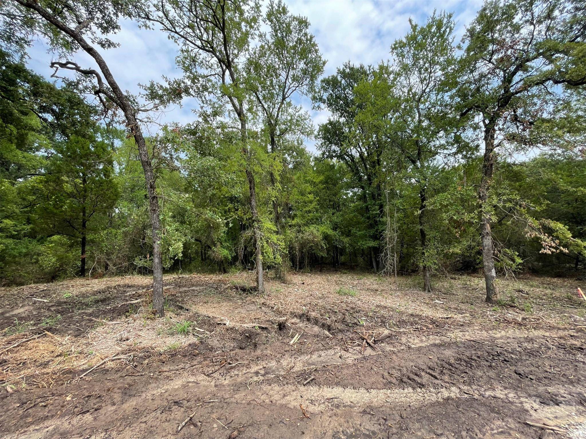 Weatherford, TX 76087,Lot 27 Roy Coffee Court