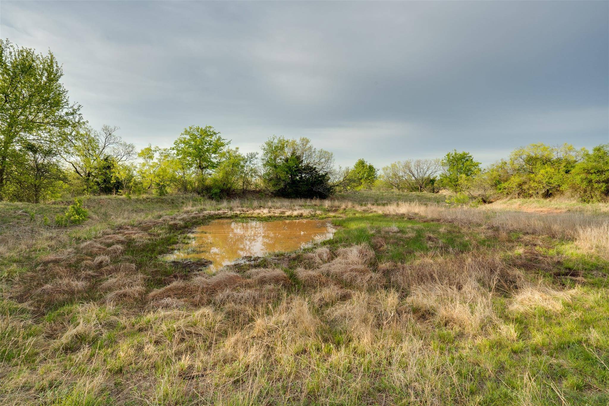 Jacksboro, TX 76458,14.49 AC Sparkman