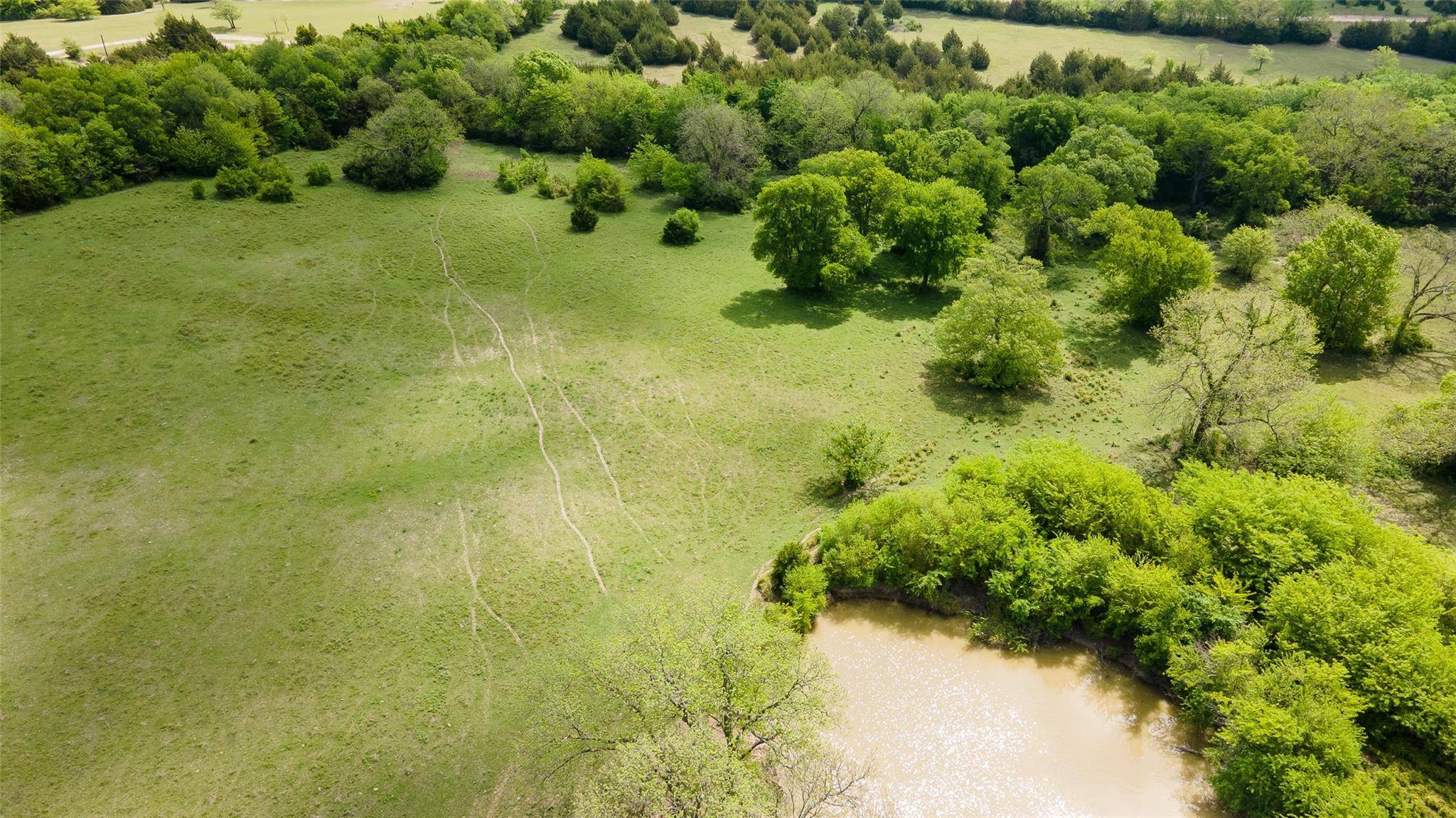 Whitewright, TX 75491,TBD 12 Acres Blanton Hill Road