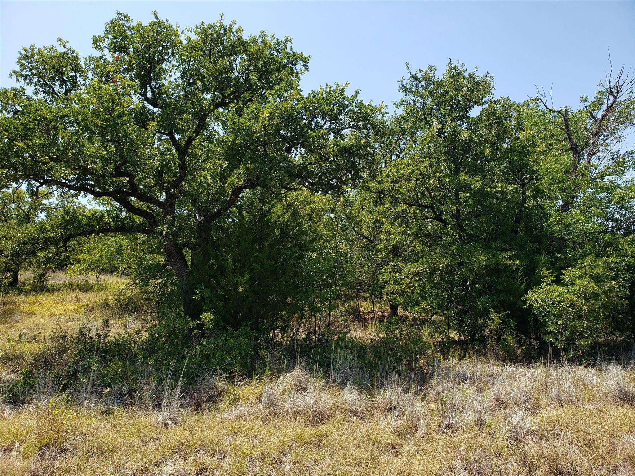 Bowie, TX 76230,551 Cross Timbers