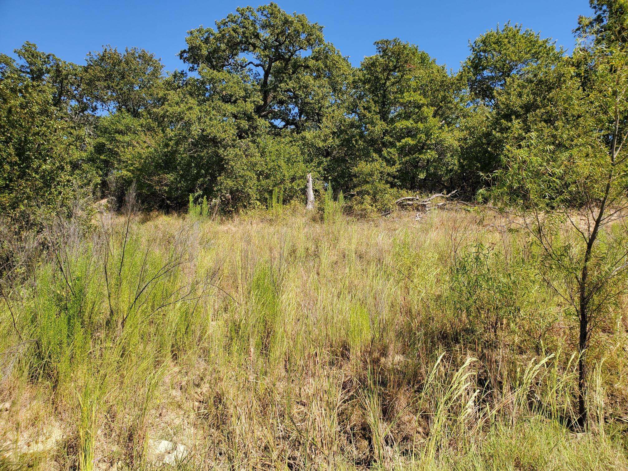 Bowie, TX 76230,Lot 536 Creekside Drive