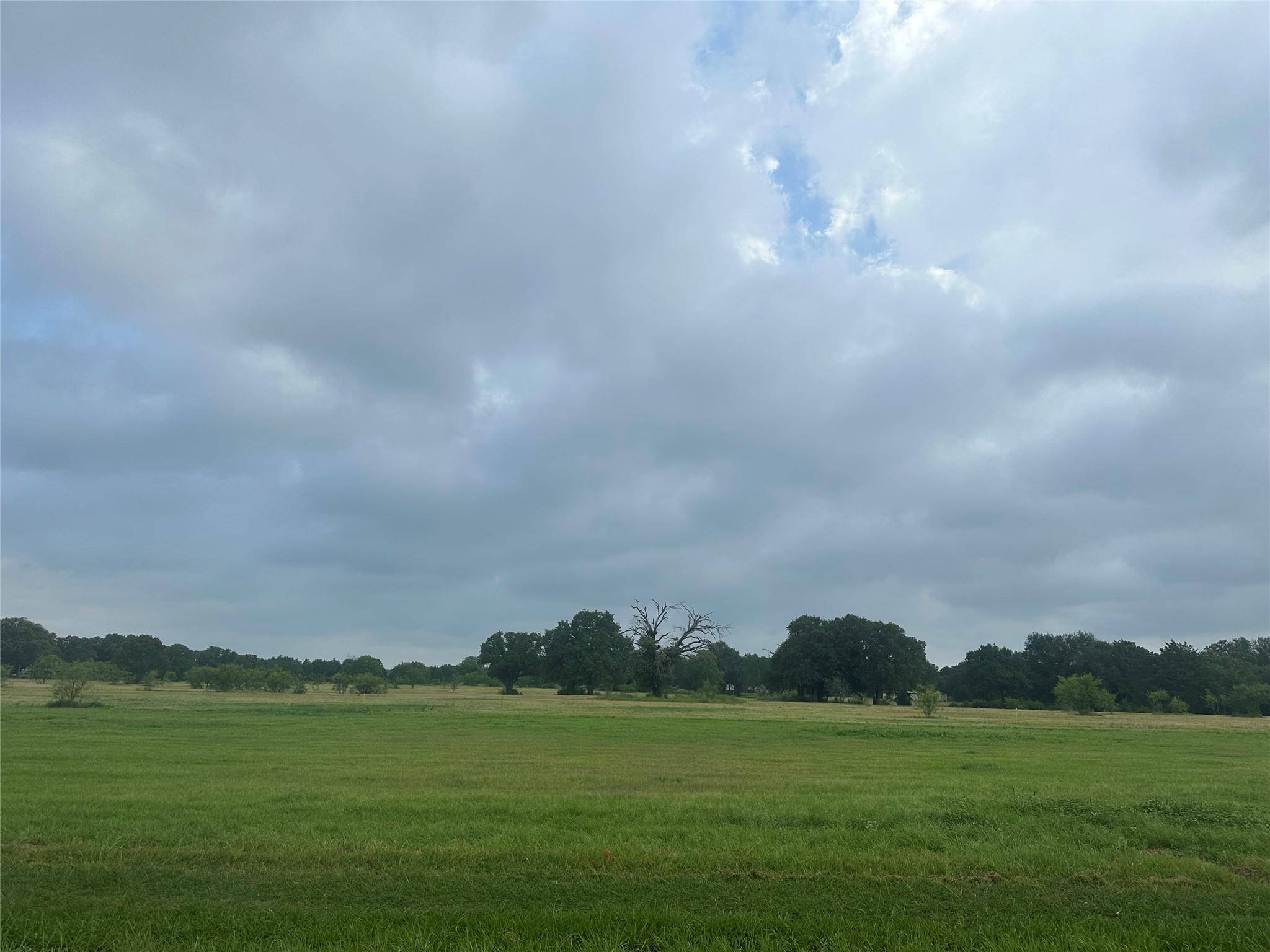 Kemp, TX 75143,TBD Lot 5 Jess Hinton Road