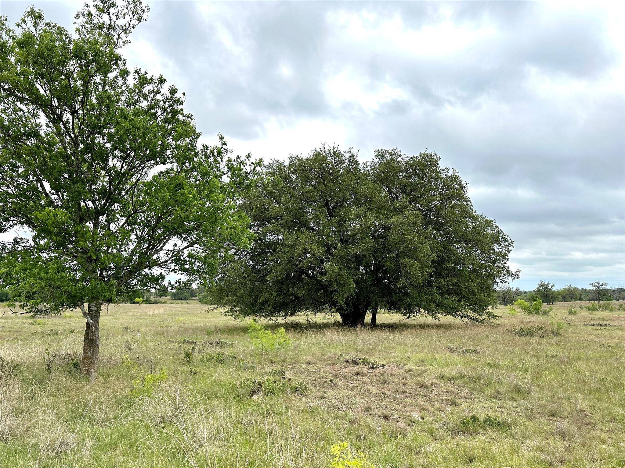 Goldthwaite, TX 76844,TBD County Road 250