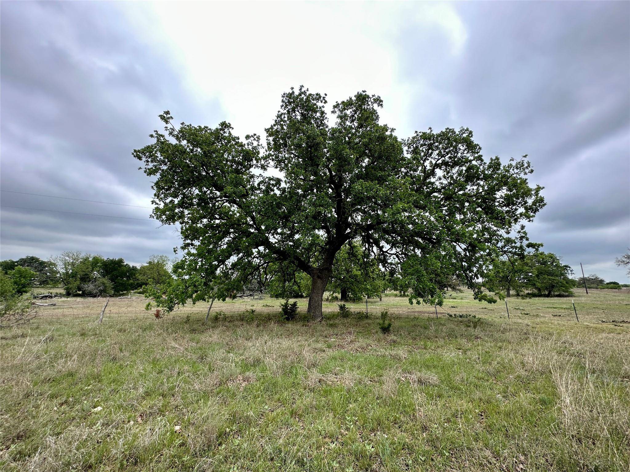 Goldthwaite, TX 76844,TBD County Road 250