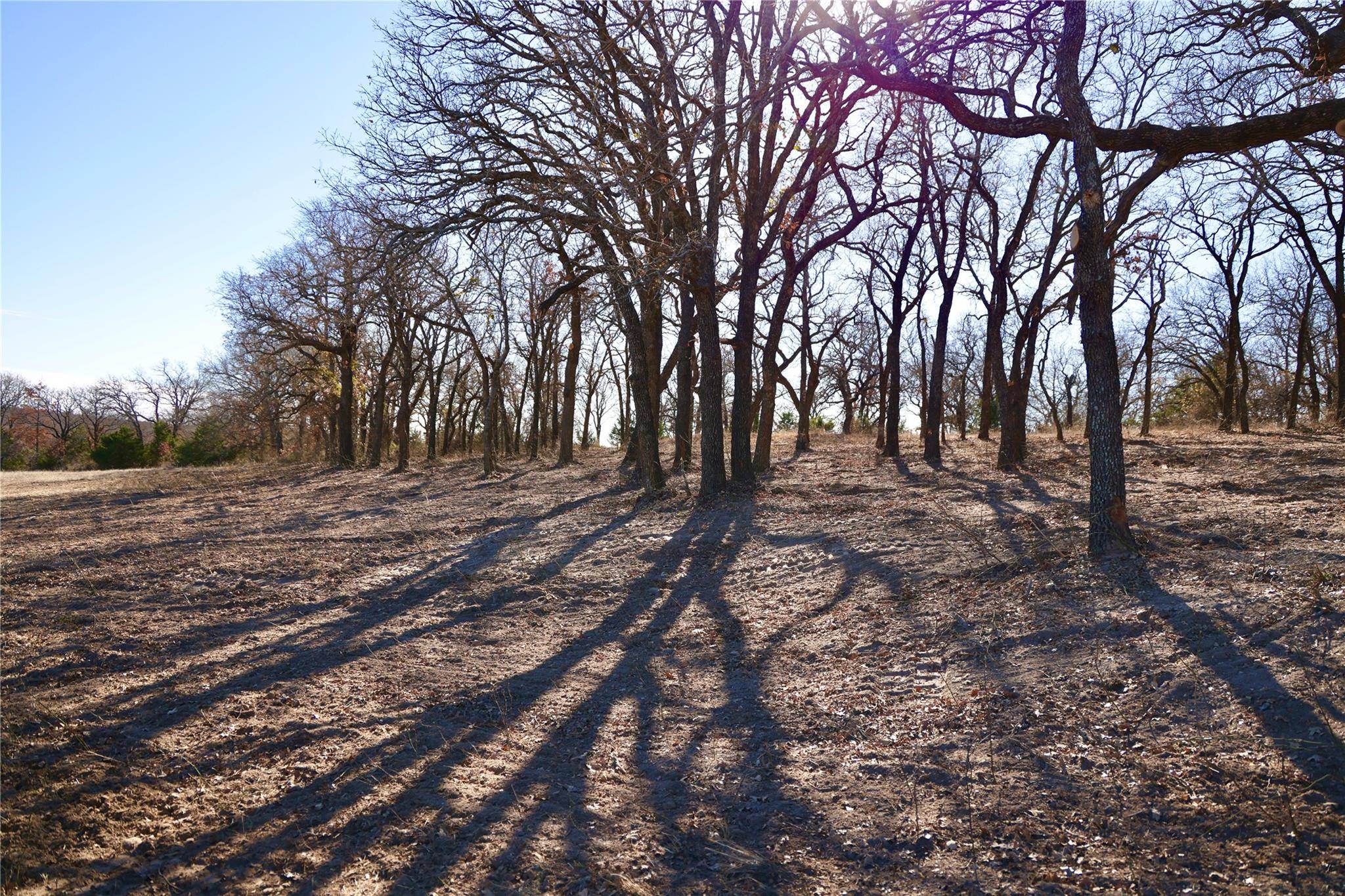 Forestburg, TX 76239,37 +/- Acres Dewey Road