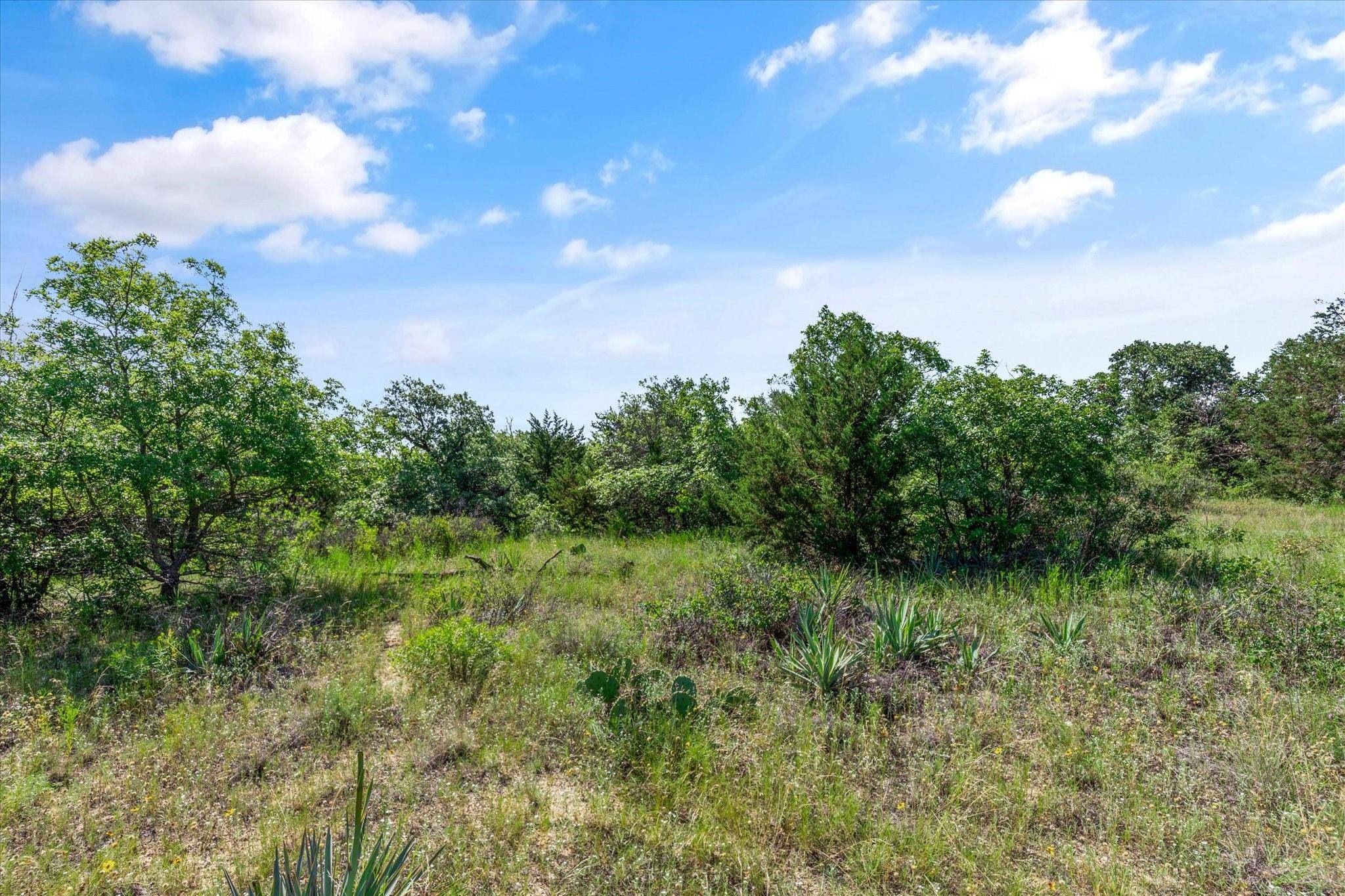 Springtown, TX 76082,106 Valley View Court