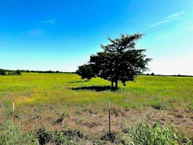 Honey Grove, TX 75446,LOT 1 County Road 26720