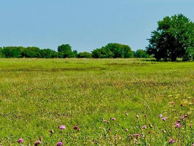 Honey Grove, TX 75446,LOT 1 County Road 26720