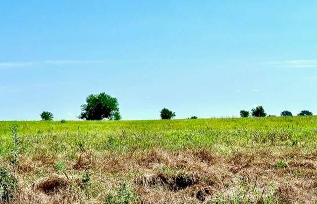 Honey Grove, TX 75446,LOT 1 County Road 26720