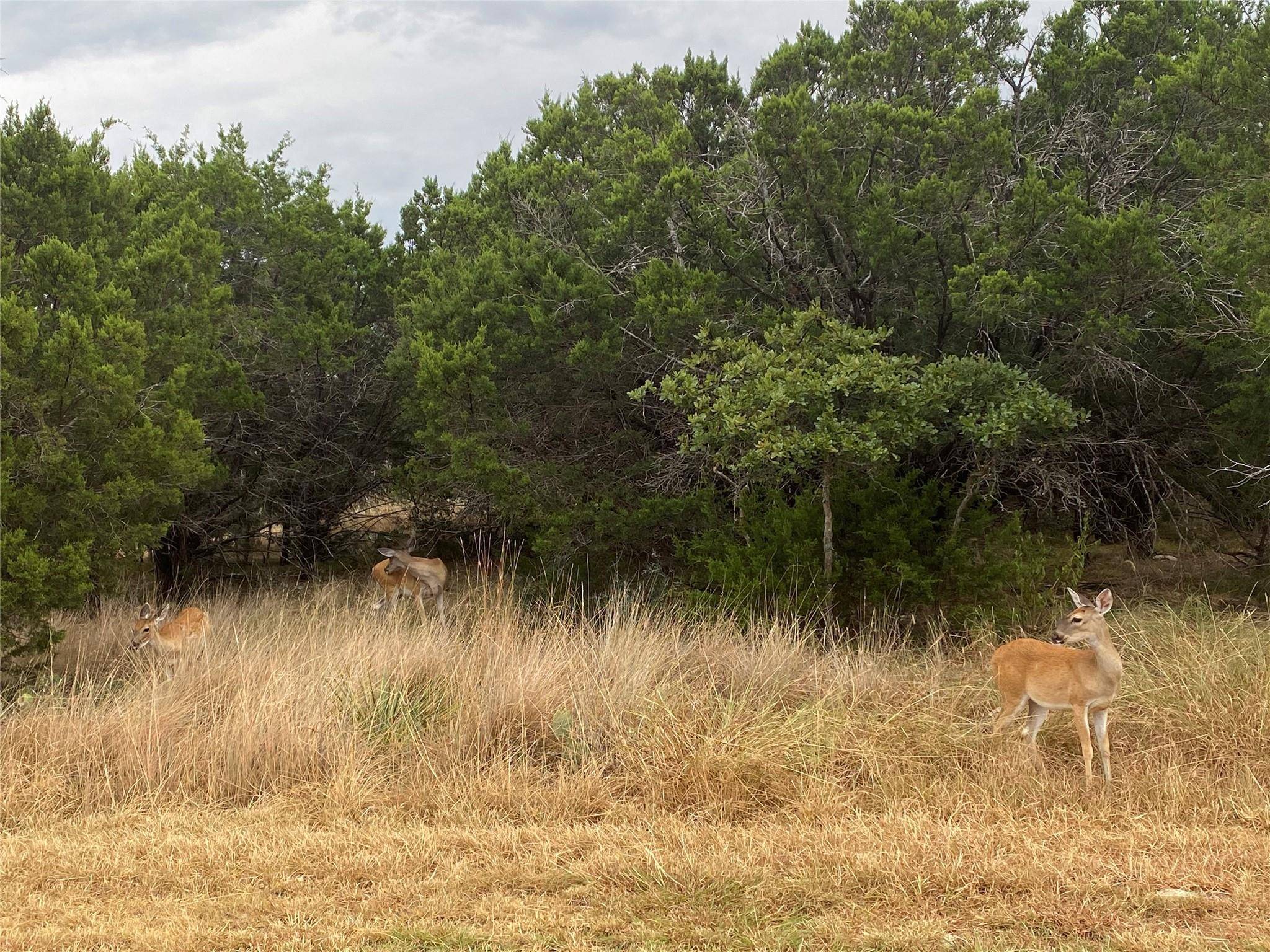 Possum Kingdom Lake, TX 76449,Lt 128 Harbour Town Drive