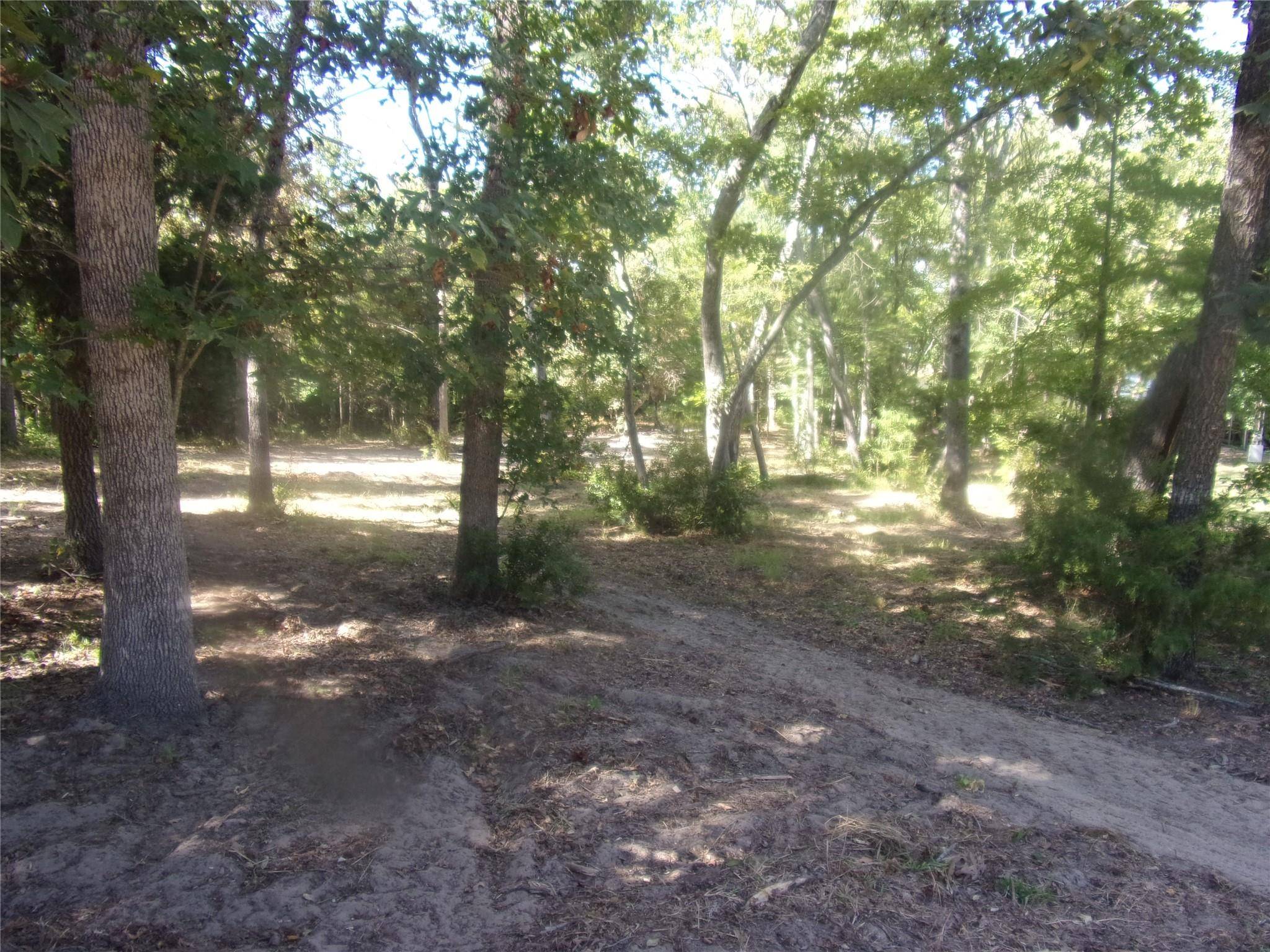 Murchison, TX 75778,tbd Dogwood Trail