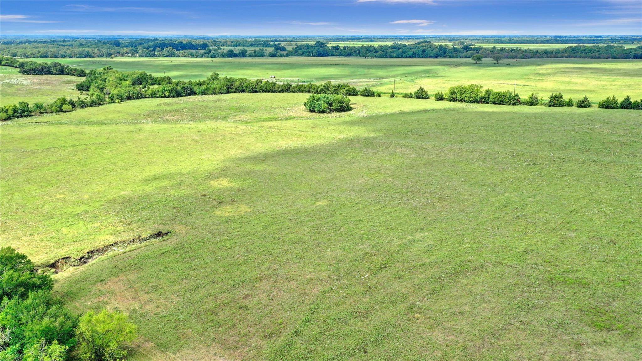 Honey Grove, TX 75446,12 Acres TBD County Rd 3489