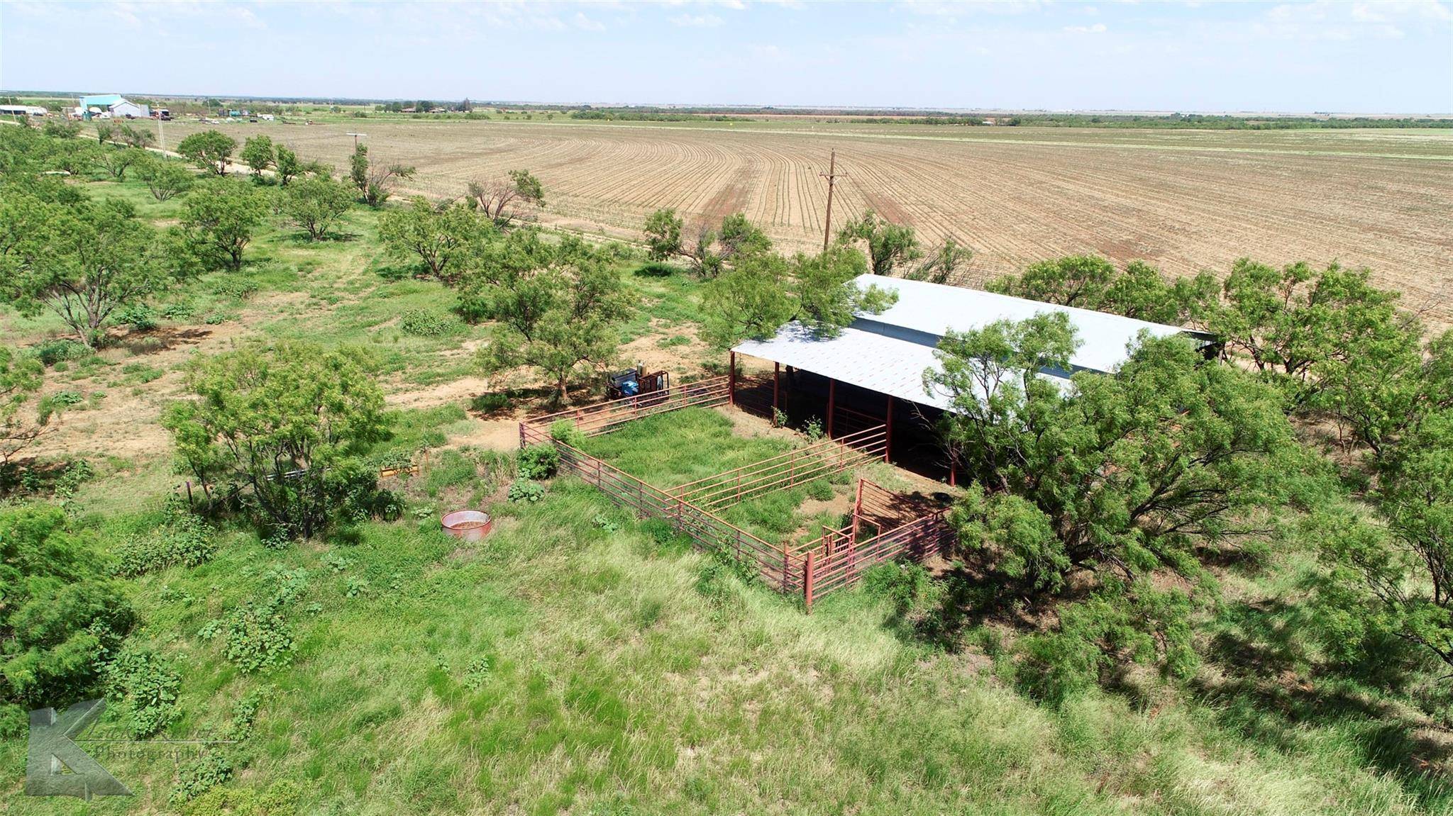 Avoca, TX 79503,8445 County Road 226