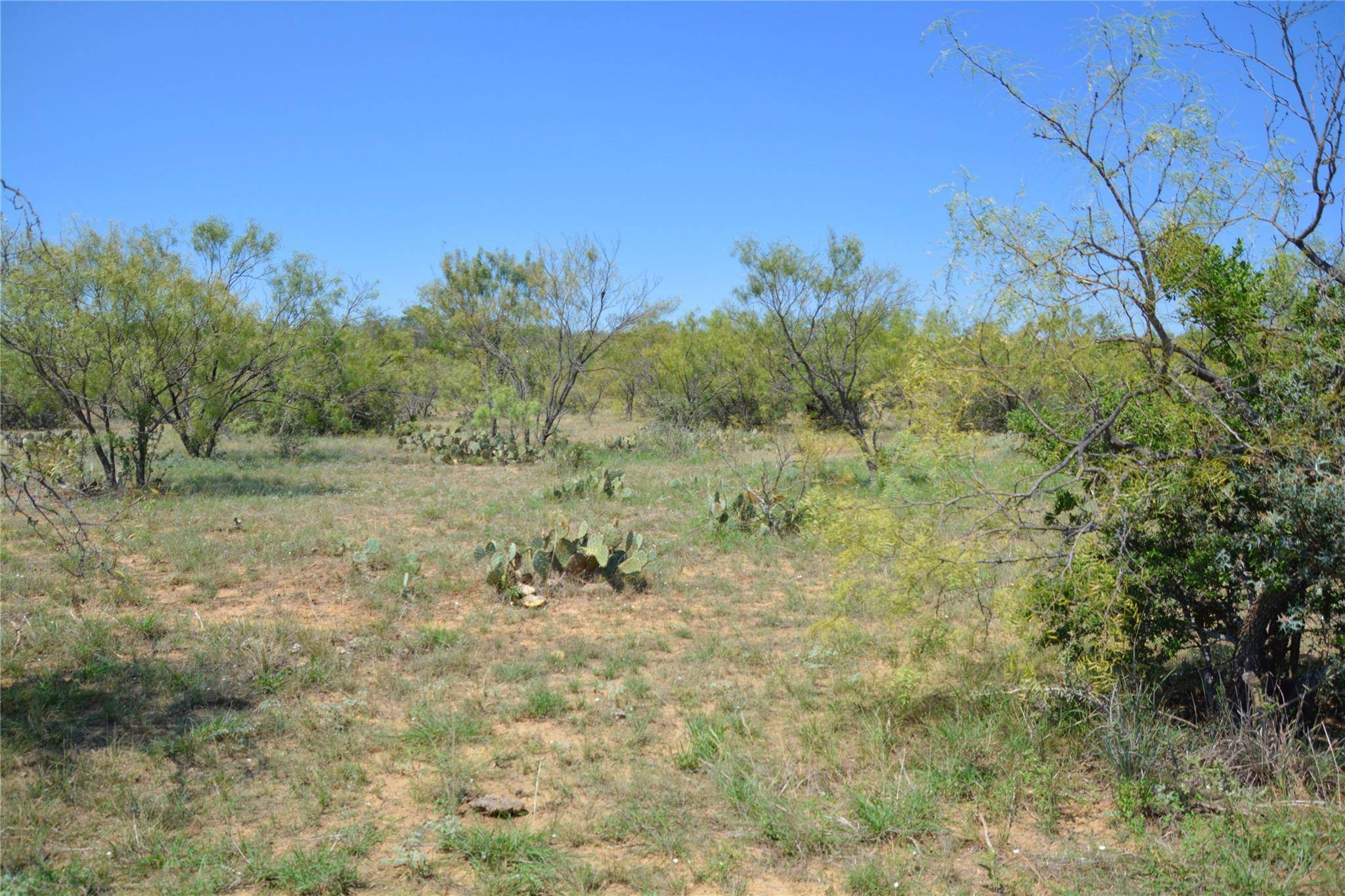 Mullin, TX 76864,TBD W Farm Market 574