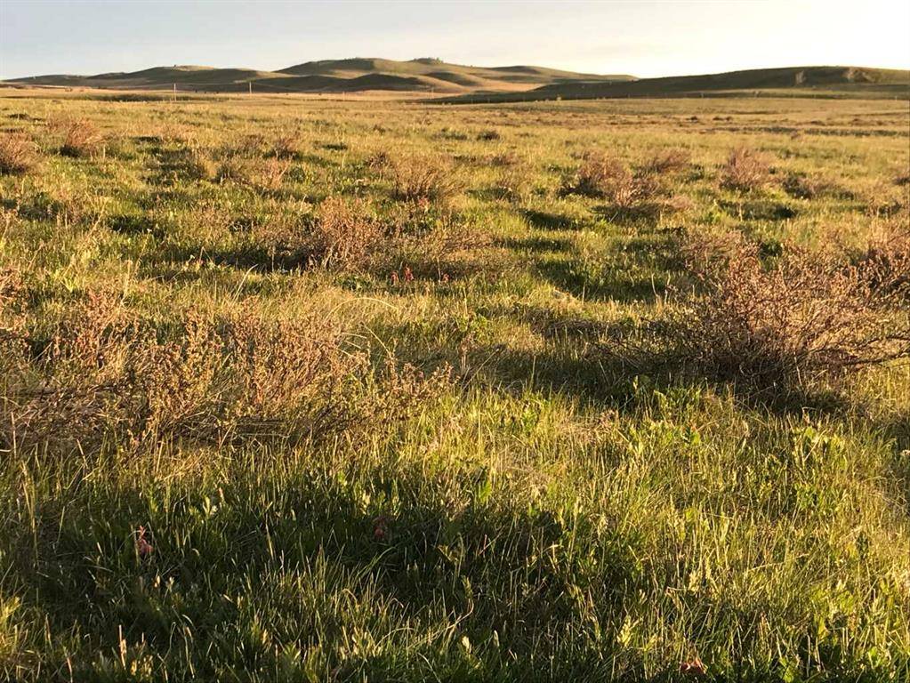 Rural Cardston County, AB T0K 0K0,Township Road 14 Township