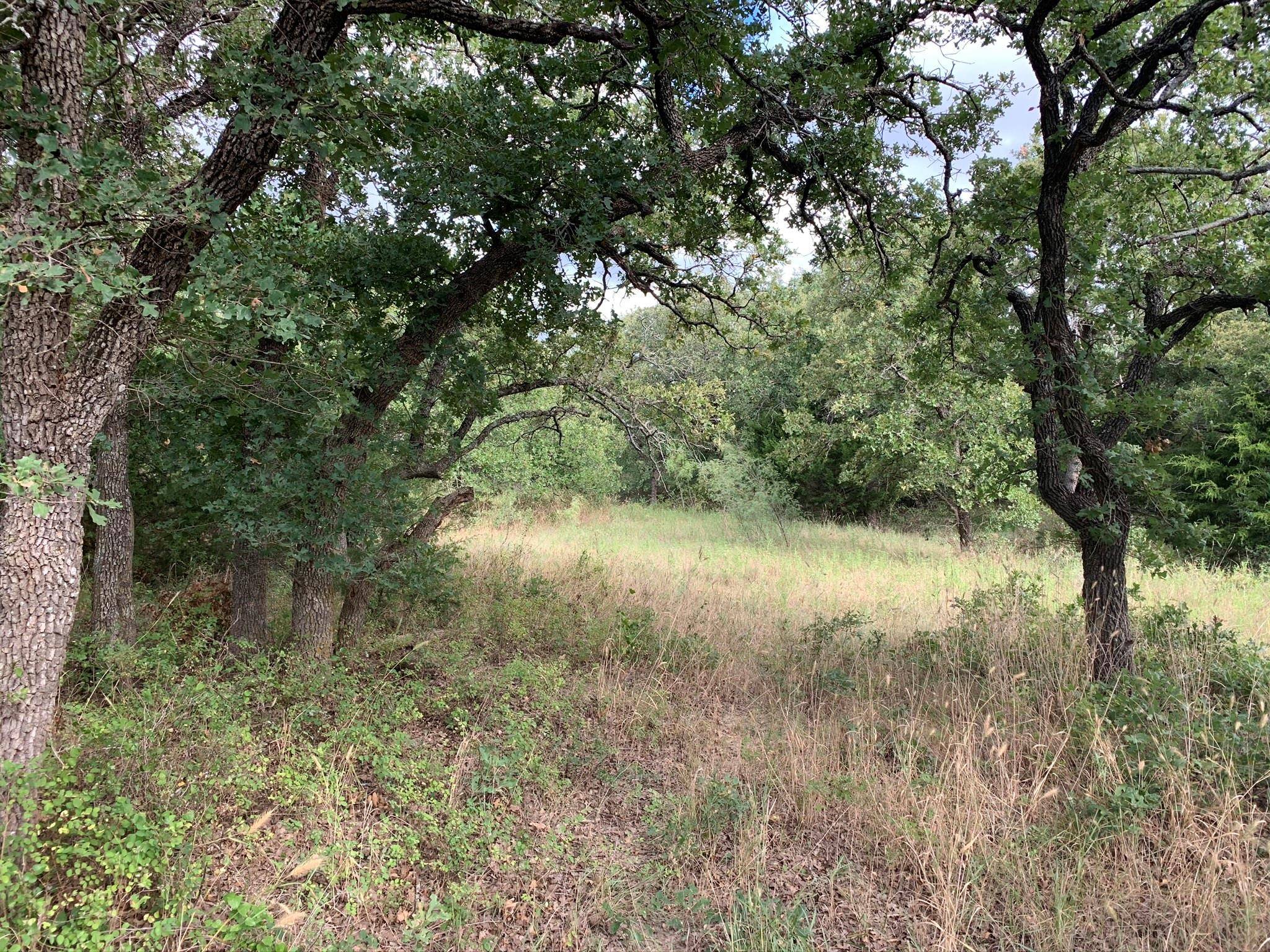 Sunset, TX 76270,Lot 89 Silver Lakes Drive