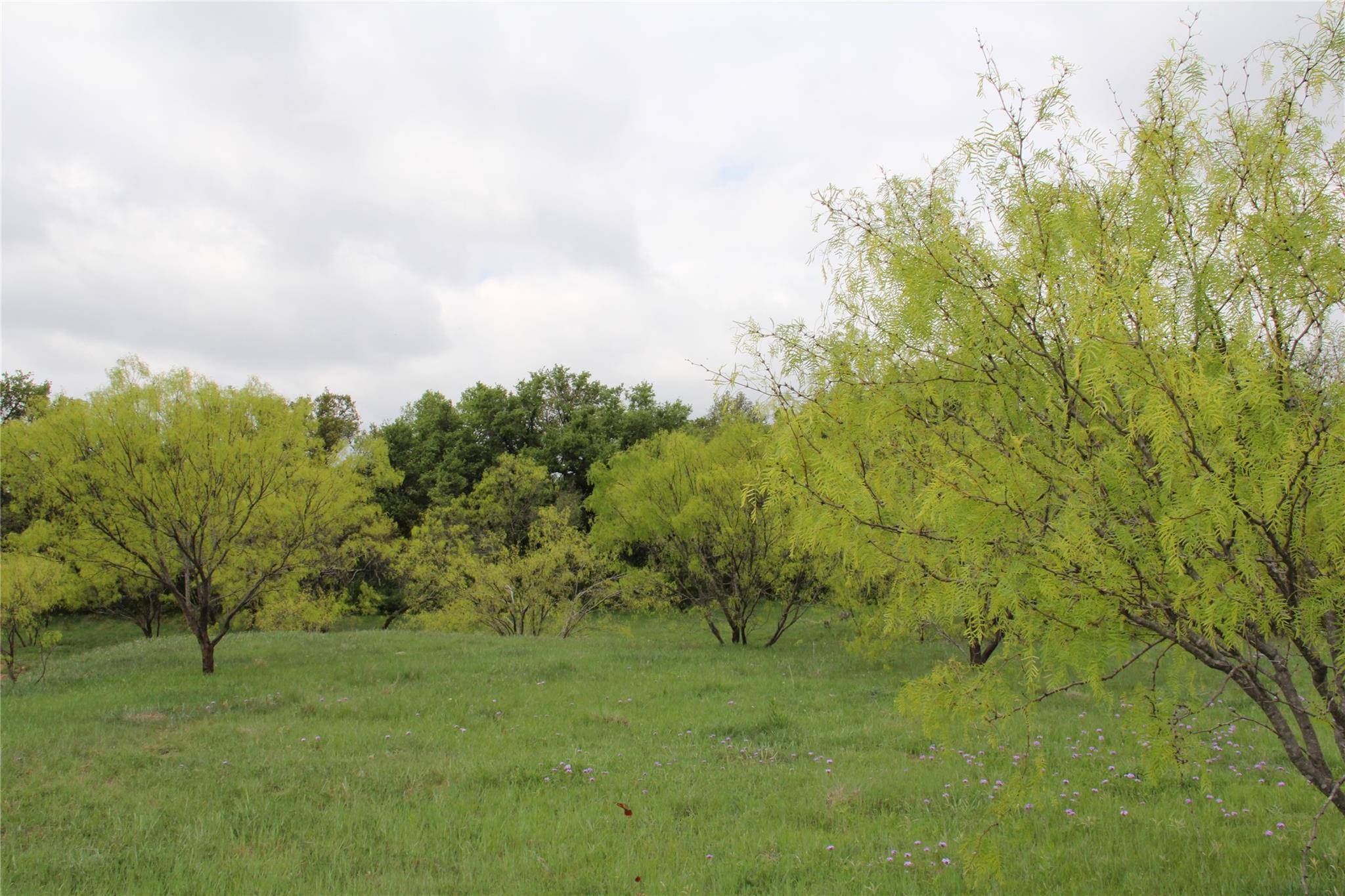 Carbon, TX 76435,3945 Hwy 1027