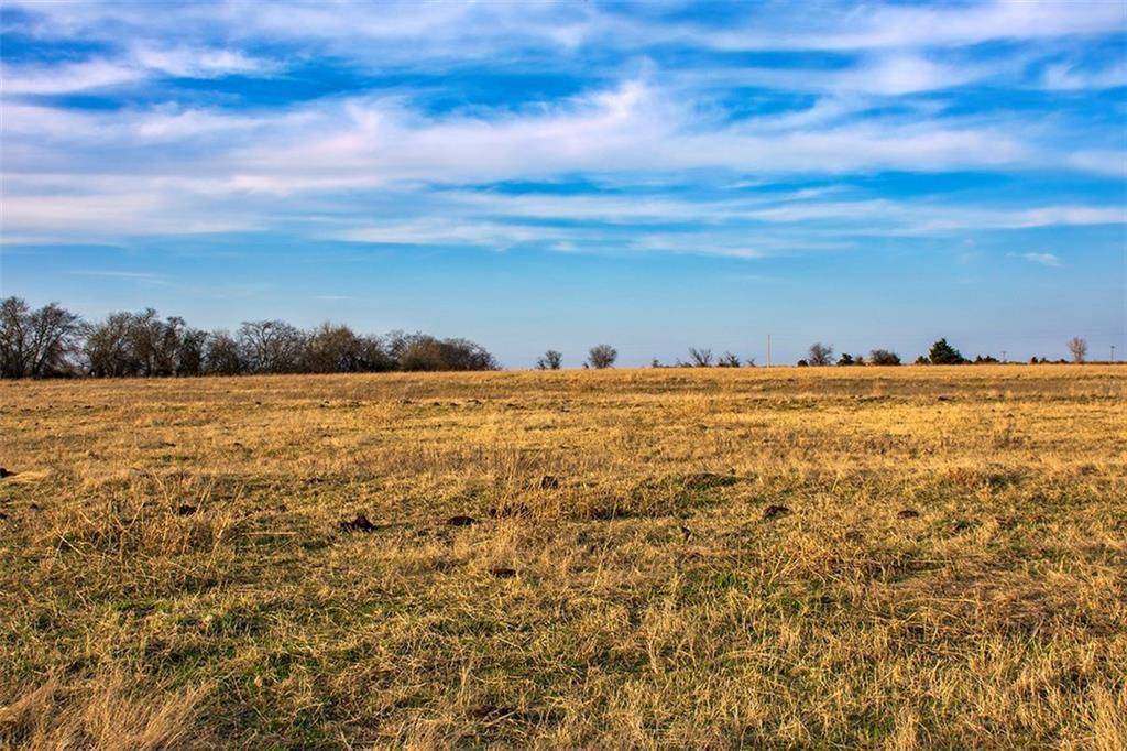 Celeste, TX 75423,Lot 12 CR 1091