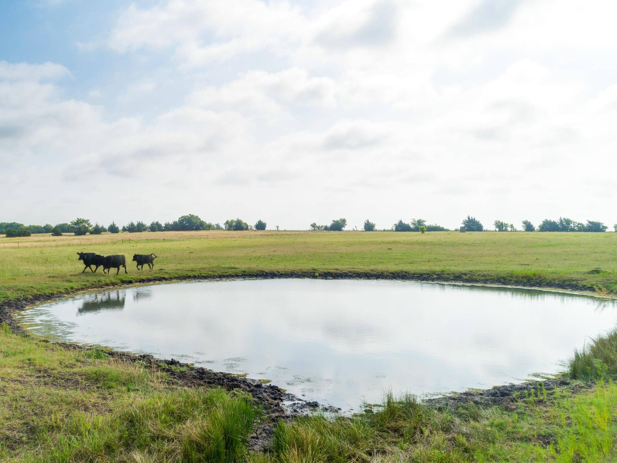 Celeste, TX 75423,none County Rd 1145