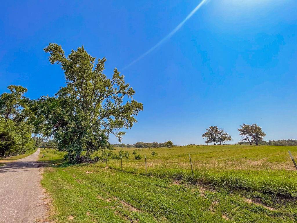 Quitman, TX 75783,TBD Plat 1CR 1236