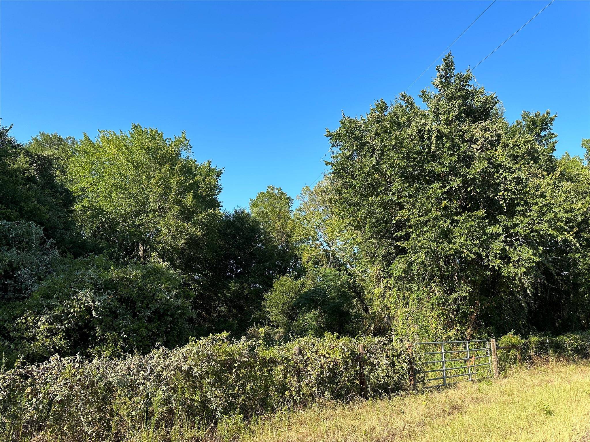 Oakwood, TX 75855,TBD FCR 296