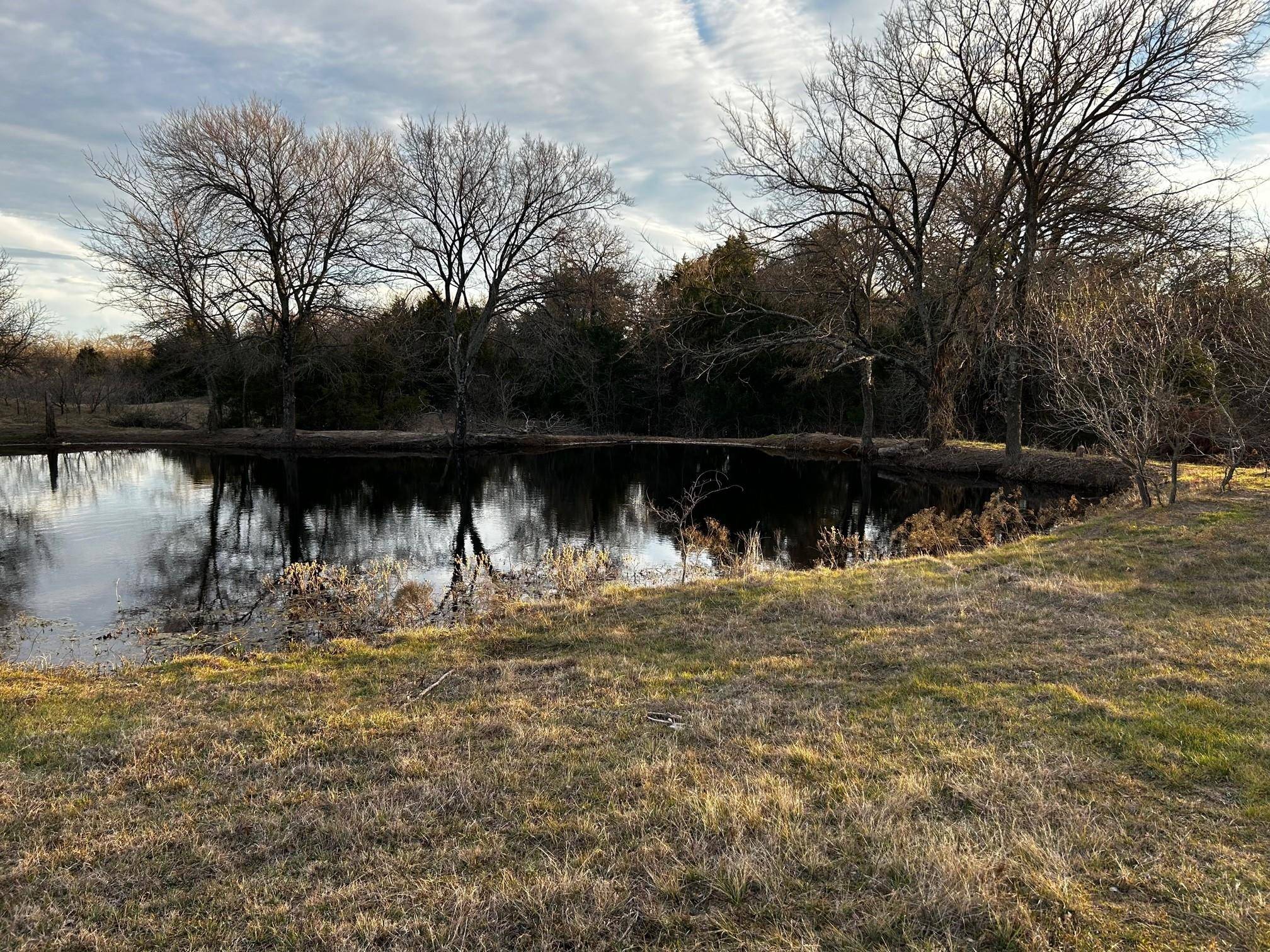 Pilot Point, TX 76258,TBD Strittmatter Road