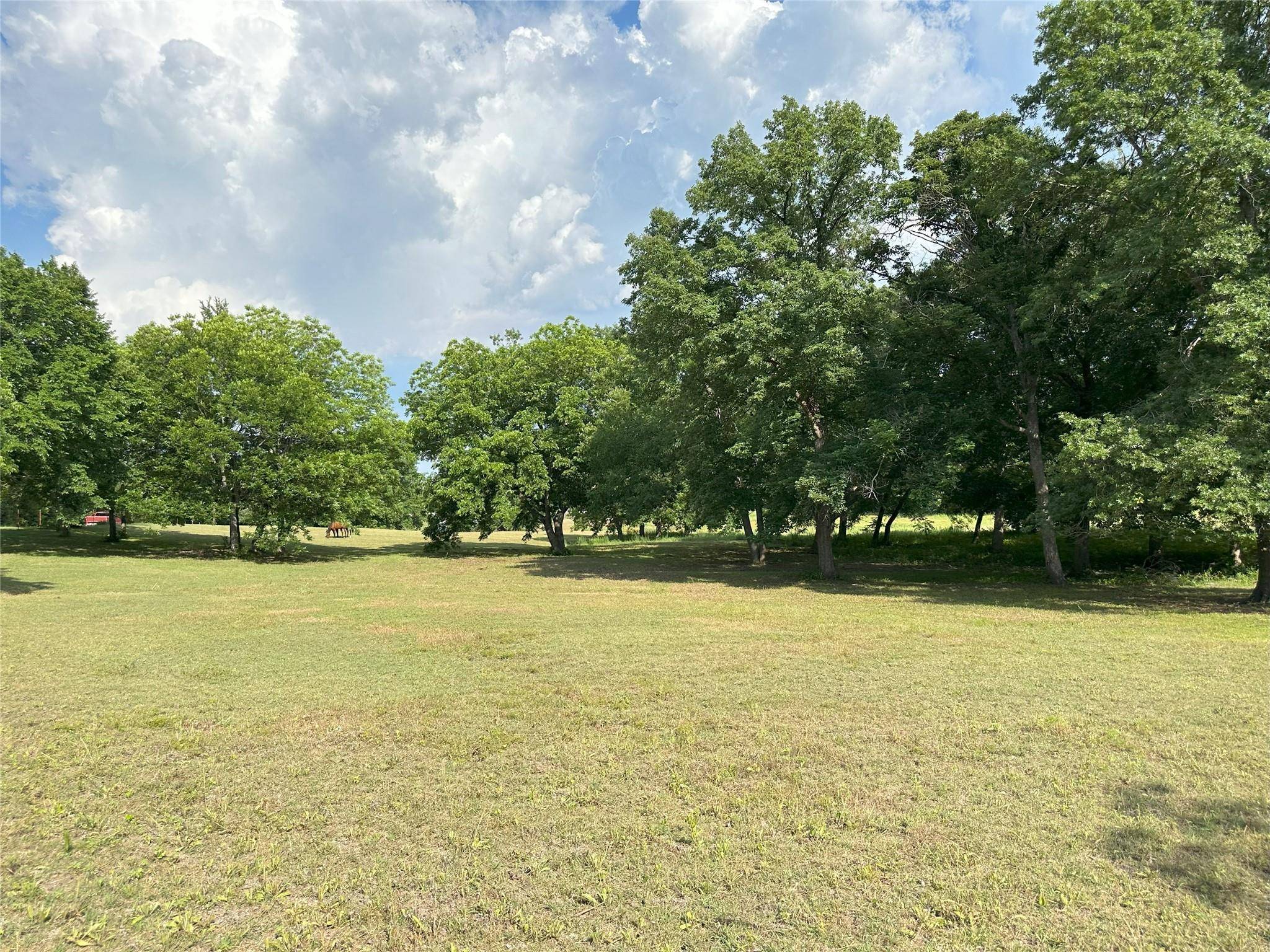 Bells, TX 75414,TBD N W. Mcfarland St. Road