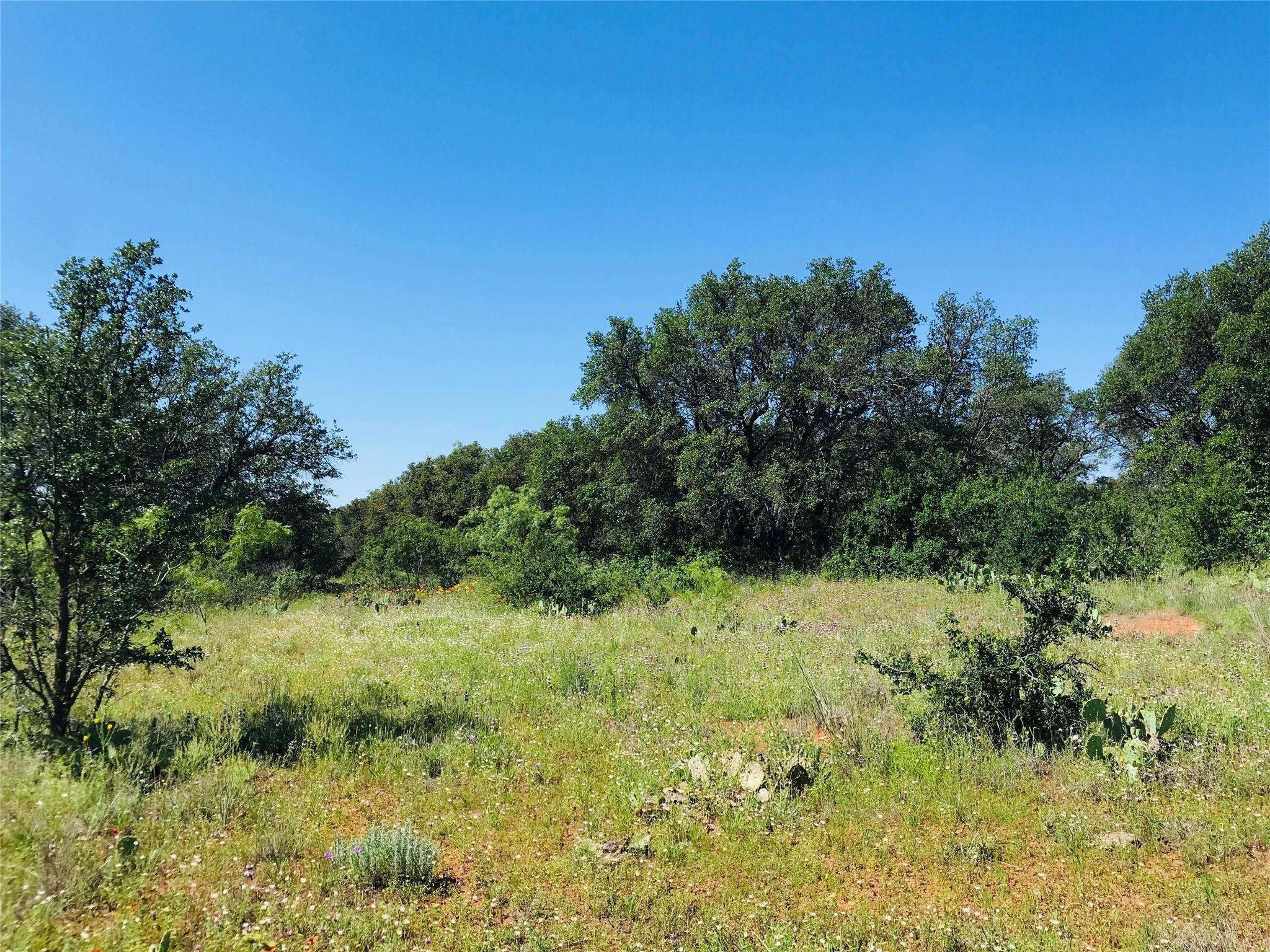 Bangs, TX 76823,395 County Road 175