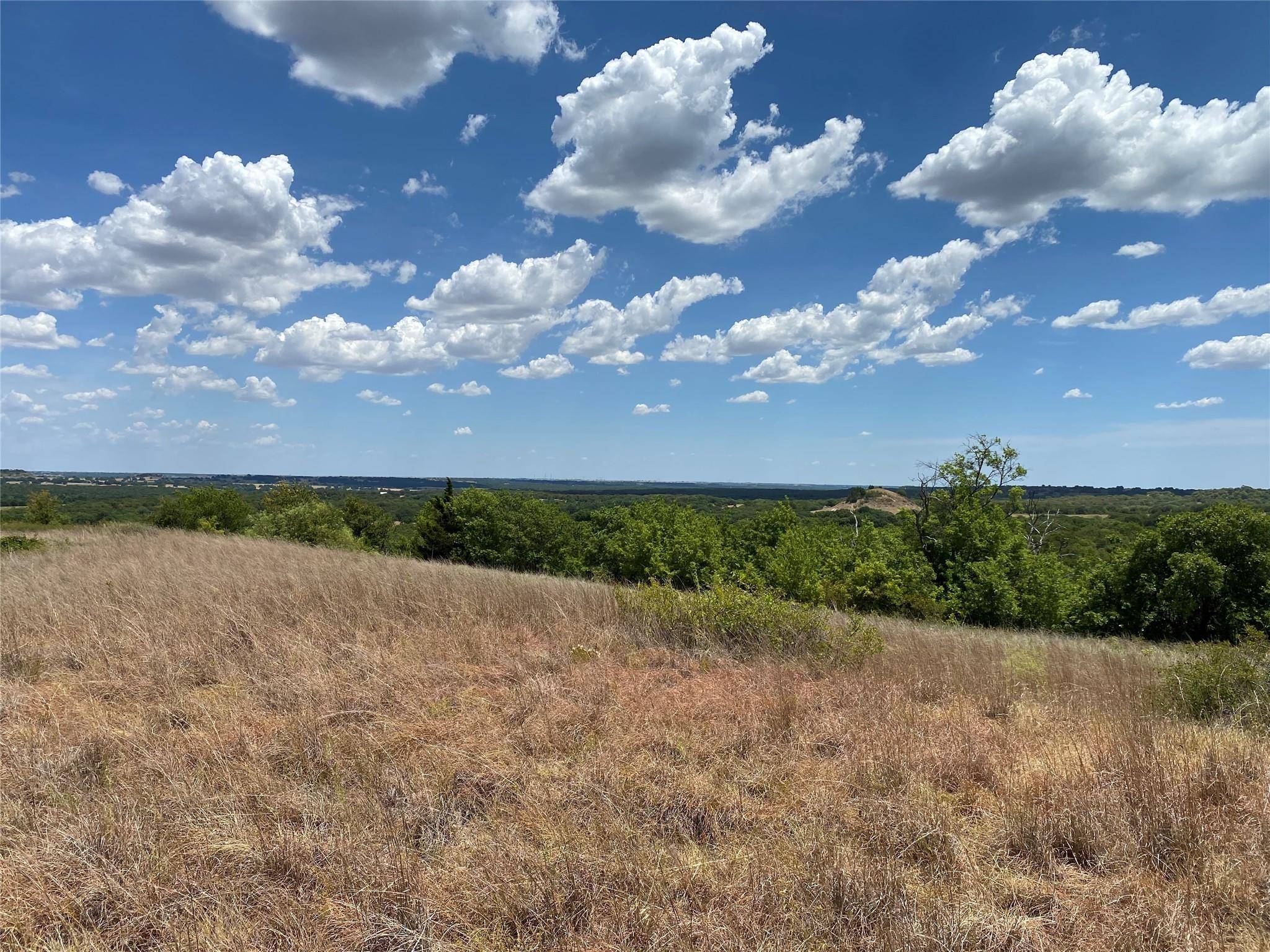 Forestburg, TX 76239,123 Acres Dye Mound Road