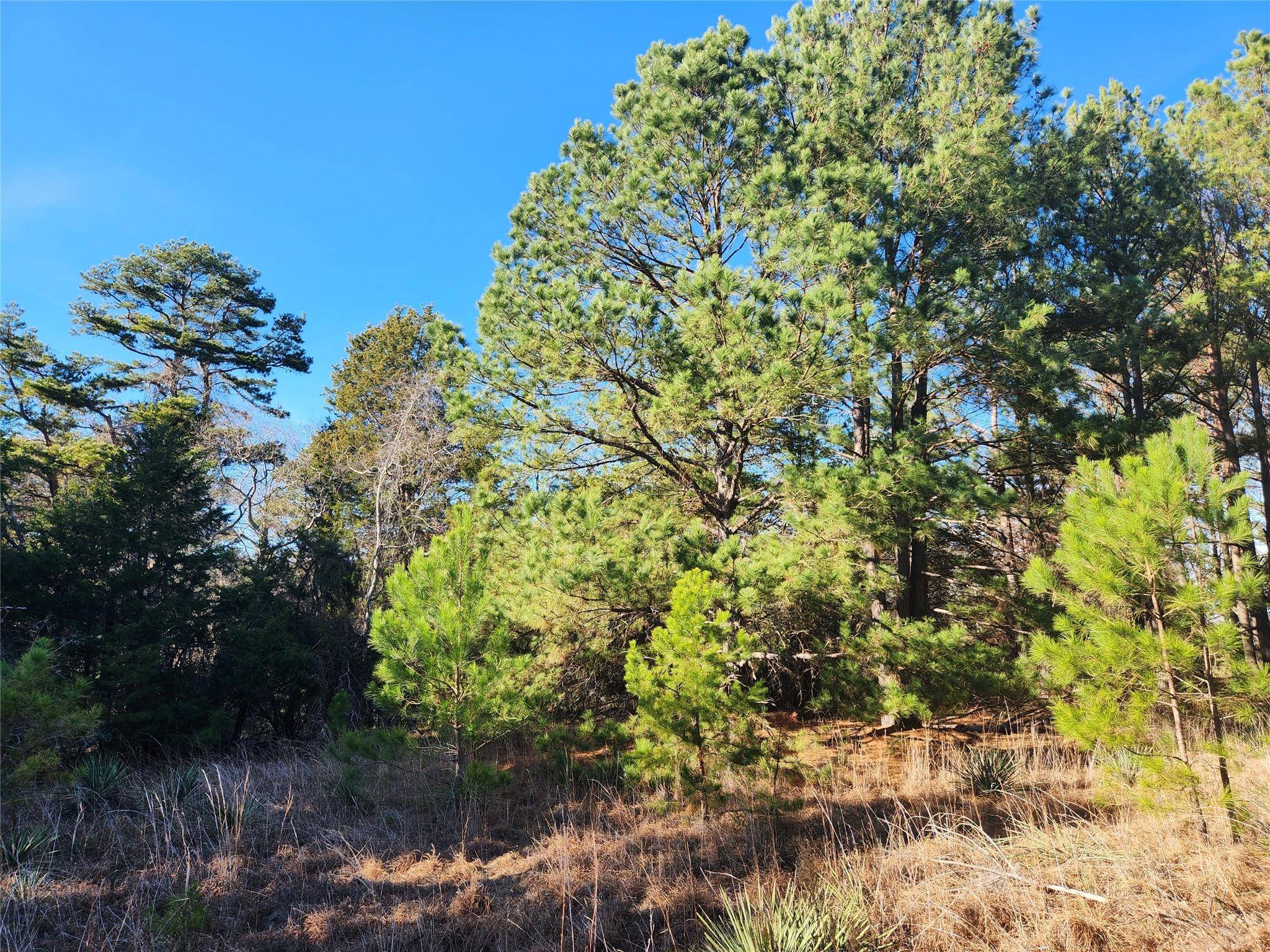 Larue, TX 75770,Lot 172 Zebra Crossing