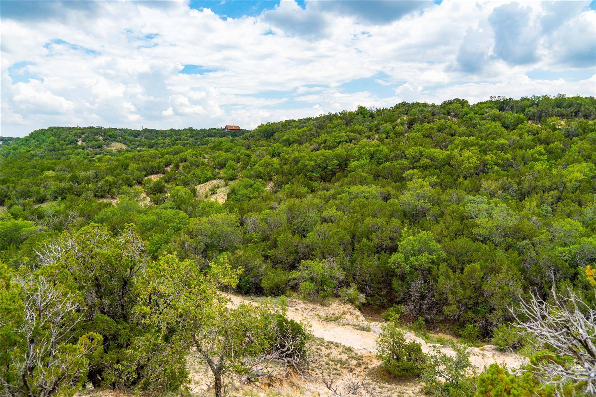 Tuscola, TX 79562,TBD Butterfield Trail