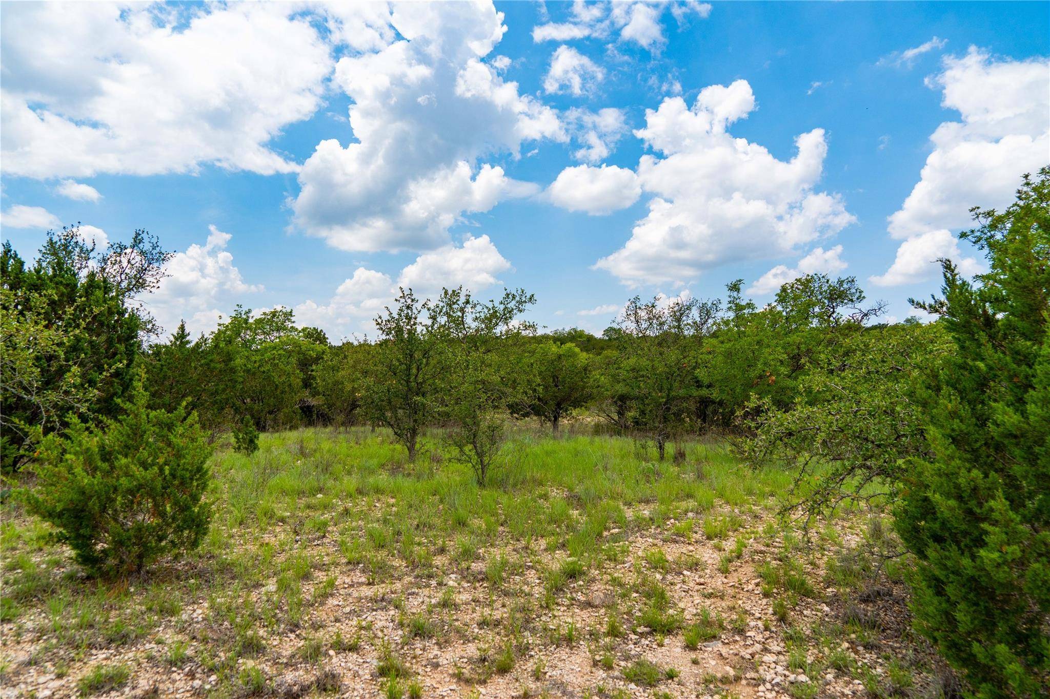 Tuscola, TX 79562,TBD Butterfield Trail