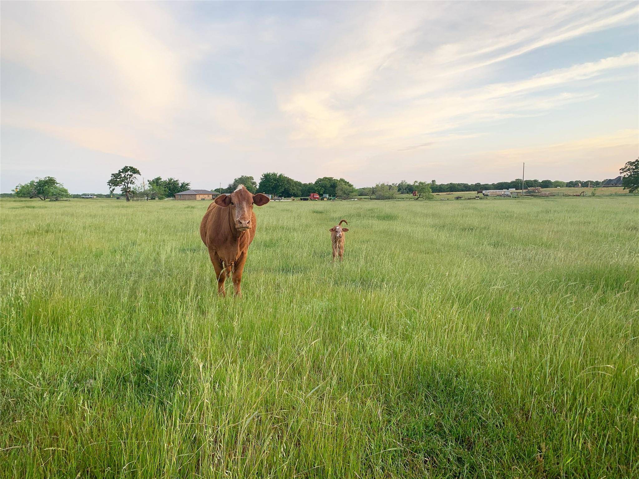 Alvord, TX 76225,749 FM 1655 N