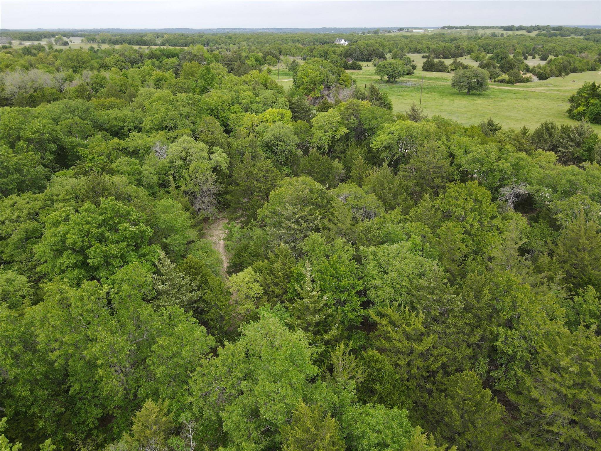 Forestburg, TX 76239,17 Acres Pilots Loop Road