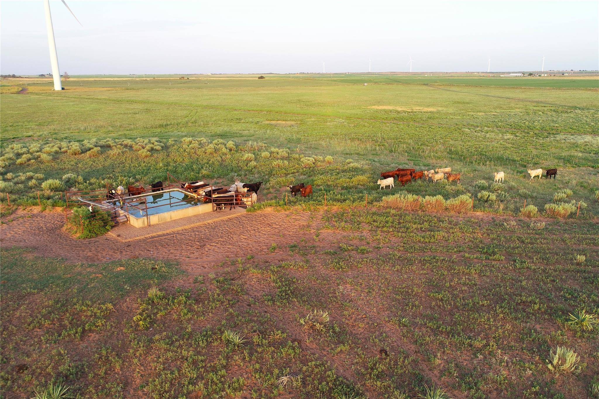 Vernon, TX 76384,TBD County Road 101