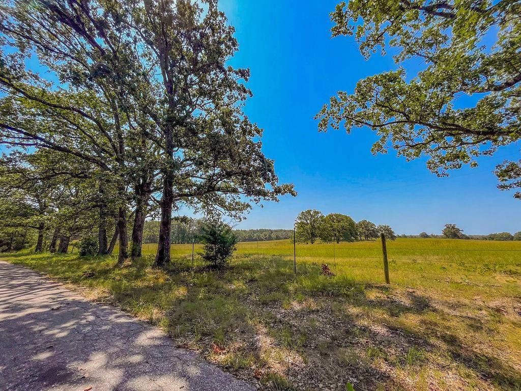 Quitman, TX 75783,TBD Plat 2 CR 1236