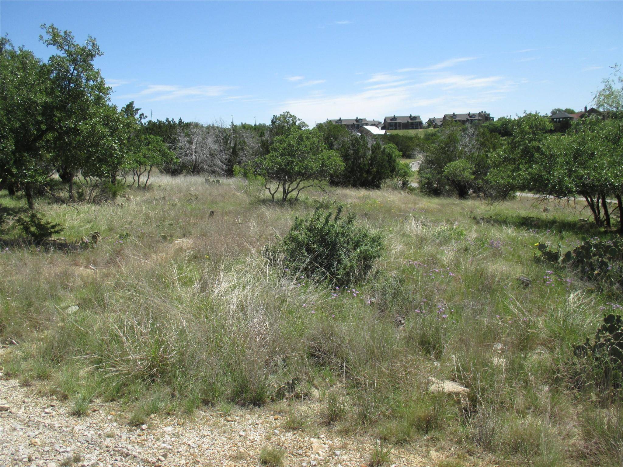 Possum Kingdom Lake, TX 76449,115 Carnoustie Drive