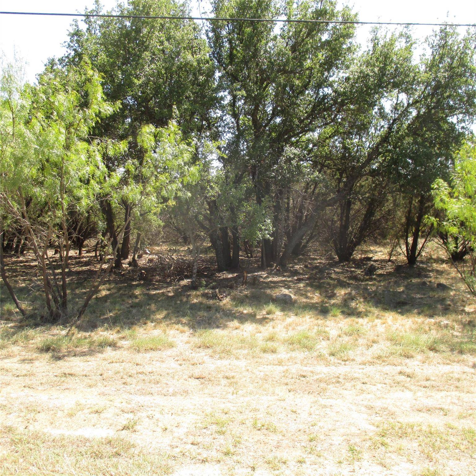 Possum Kingdom Lake, TX 76449,Lot 4 Cliffs Drive