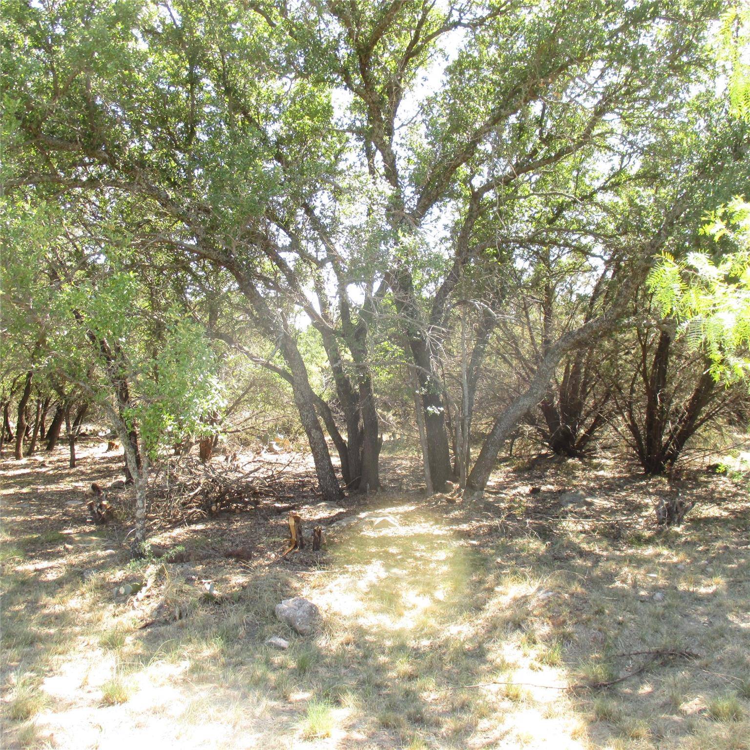 Possum Kingdom Lake, TX 76449,Lot 4 Cliffs Drive