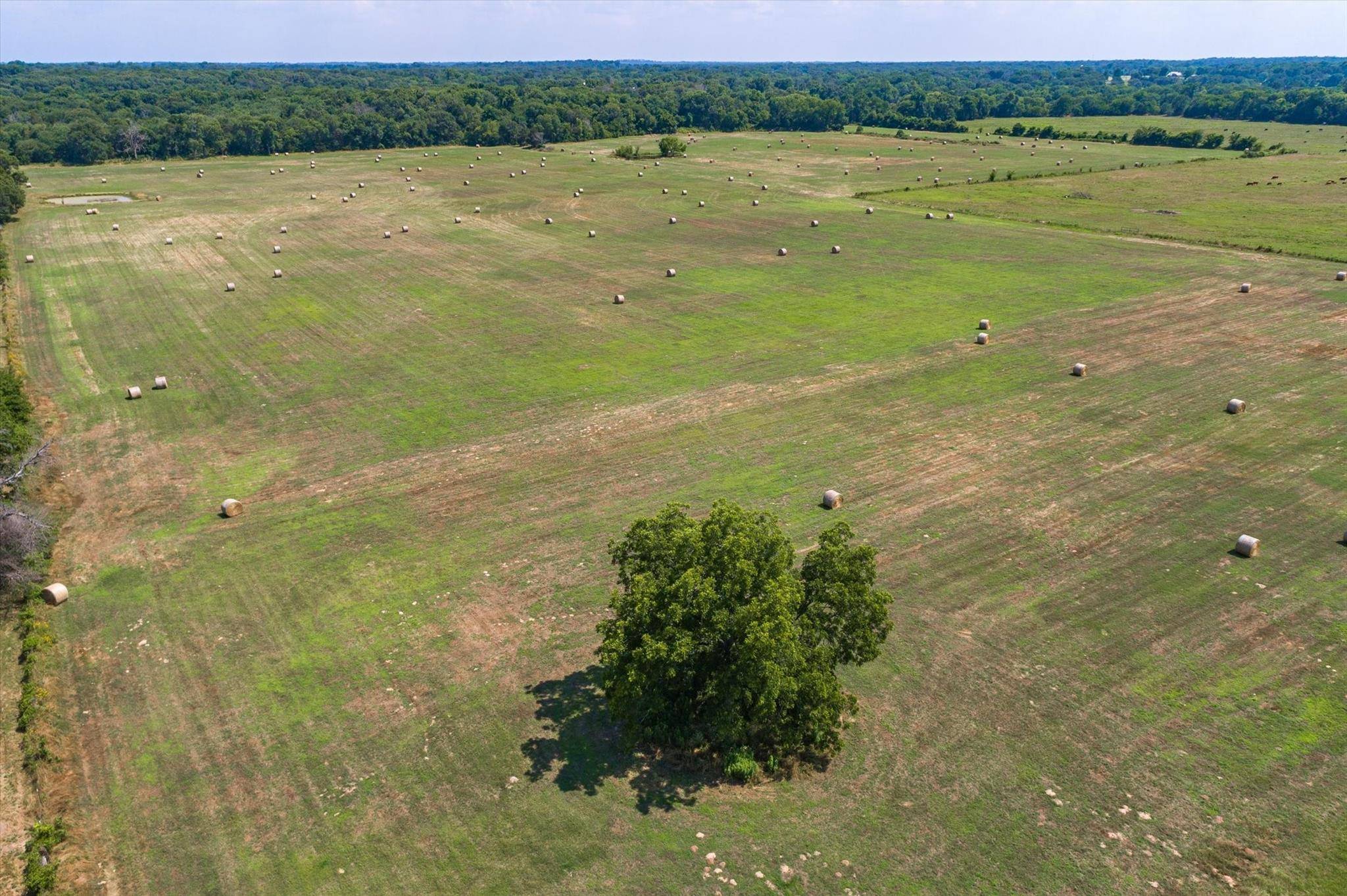 Wills Point, TX 75169,TBD VZ County Road 3425