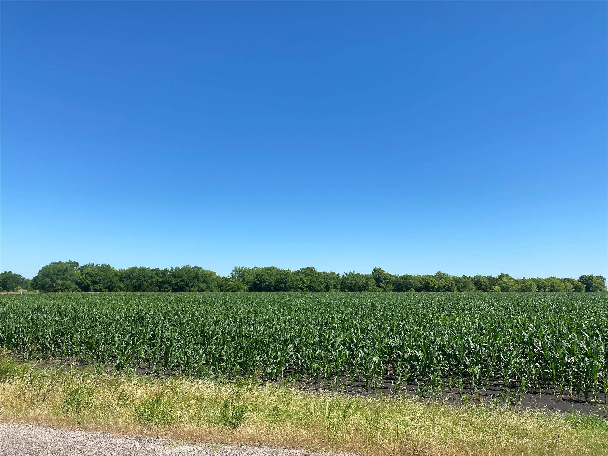 Nevada, TX 75173,TBD CR 637-Lot 3