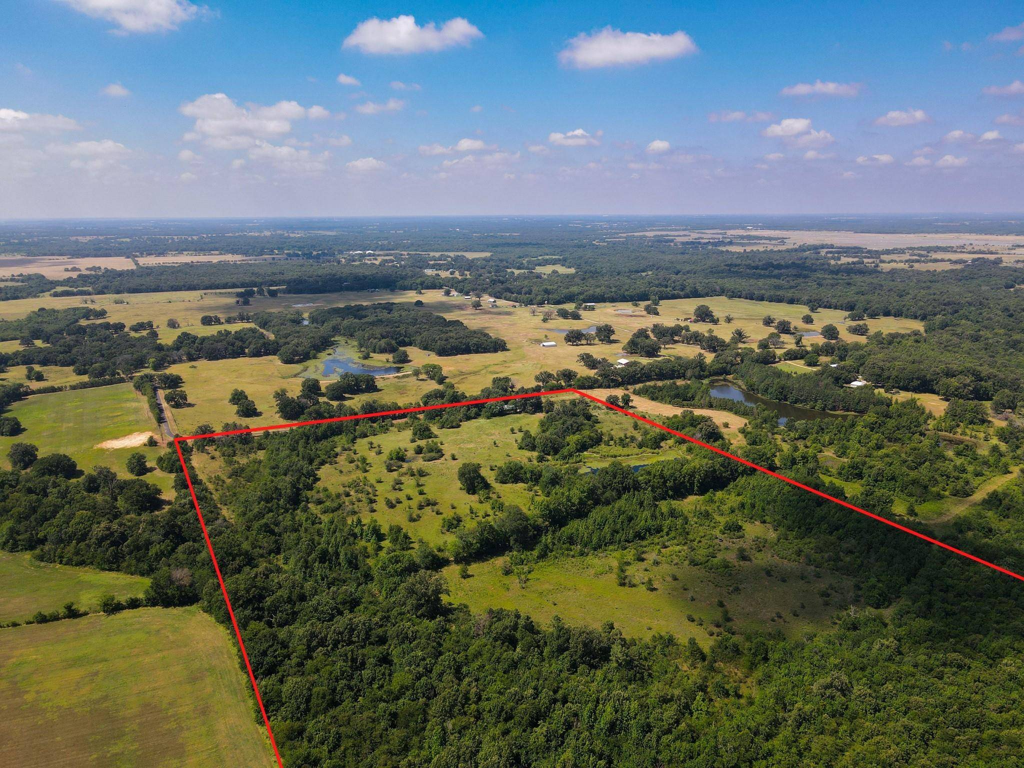 Mount Vernon, TX 75457,65.306 Acres NW County Road 1018 Road