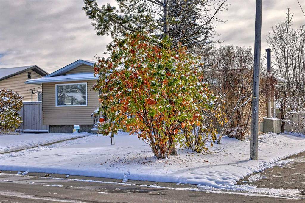 Airdrie, AB T4B 1M2,109 McCracken CRES NE