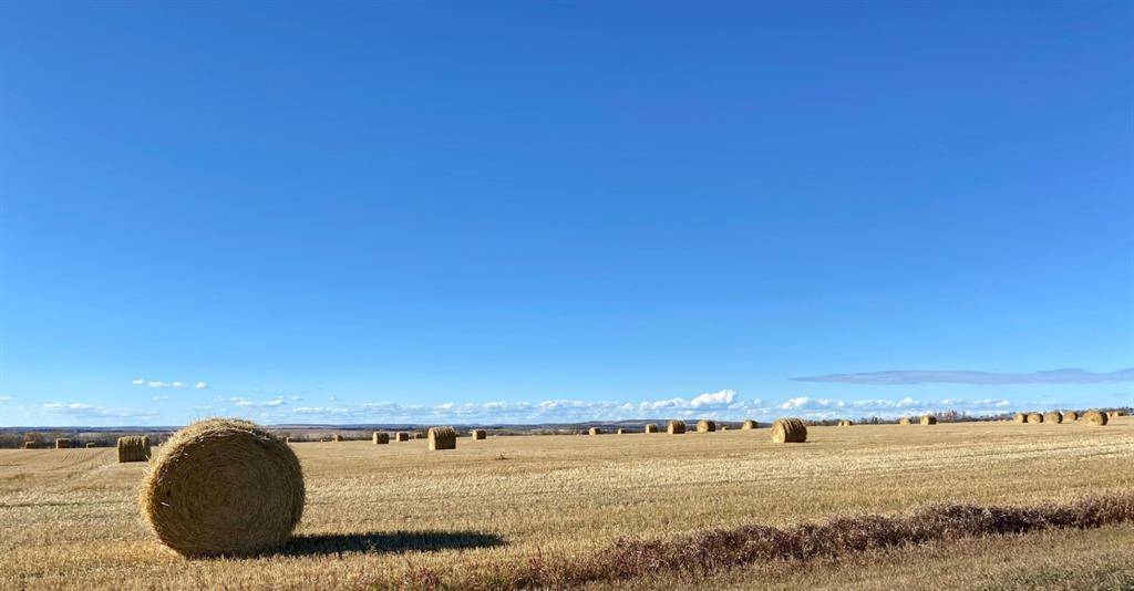 Rural Ponoka County, AB T0C 2J0,On Range Road 21