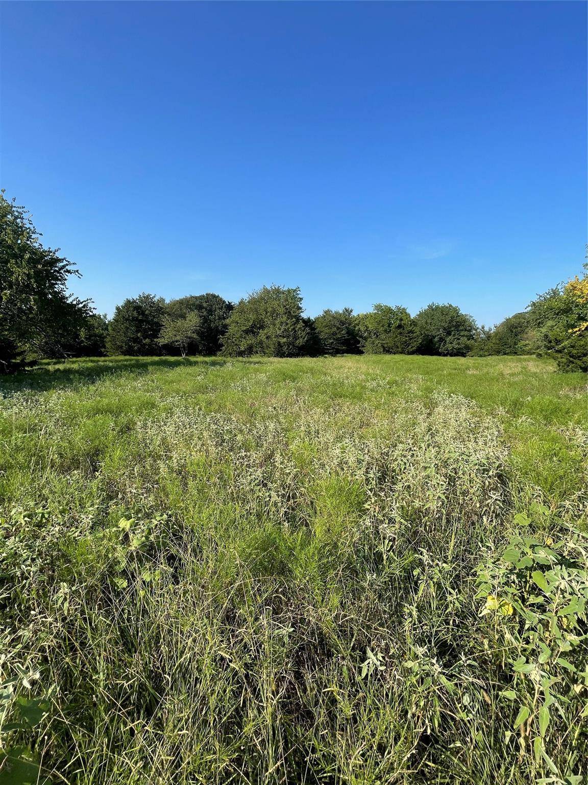 Ben Franklin, TX 75415,0001 CR 3230