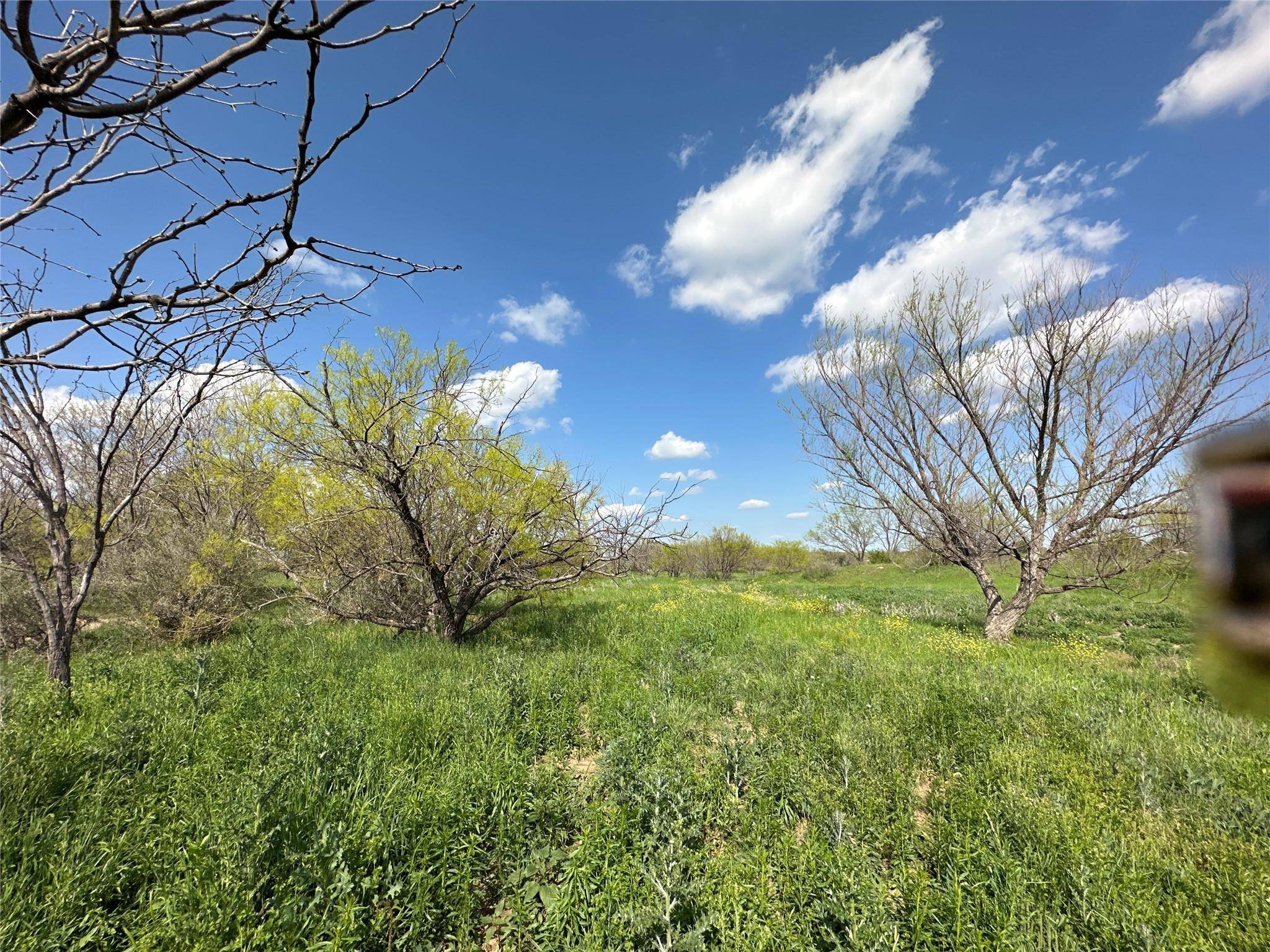 Cross Plains, TX 76443,TBD Fm 2287