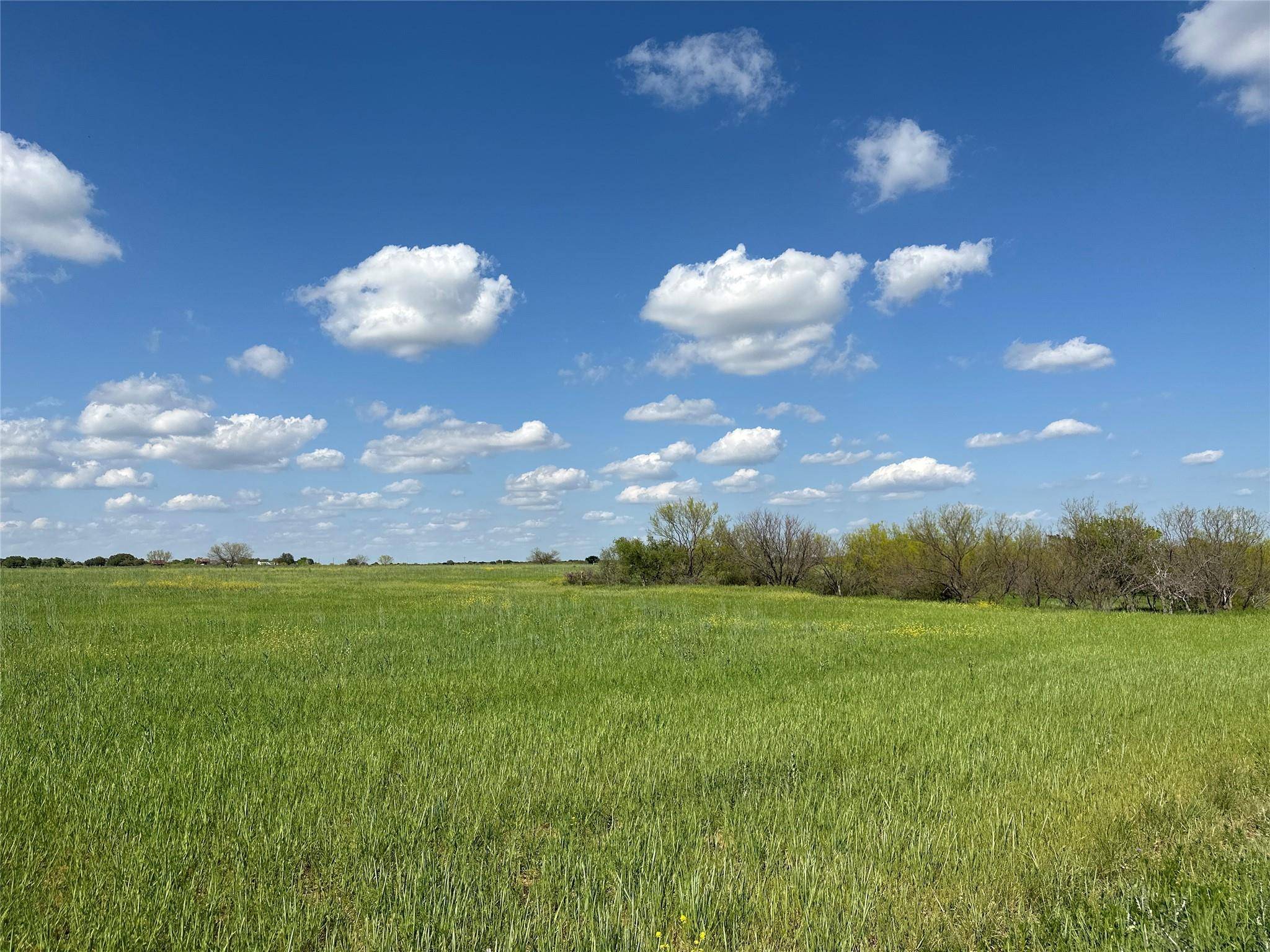 Cross Plains, TX 76443,TBD Fm 2287