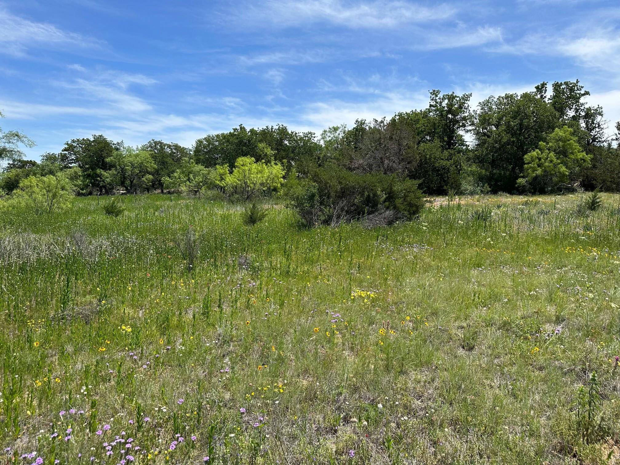 Brownwood, TX 76801,TBD4 Western Hills Lane